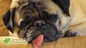 rimedi naturali insonnia