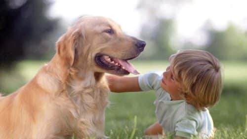 cani per Pet Therapy Pet Therapy