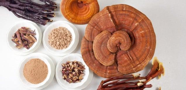 Effetti collaterali del Ganoderma Lucidum Effetti collaterali del Ganoderma Lucidum
