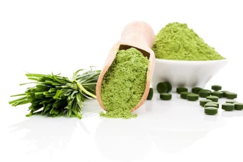 Alga spirulina proprietà