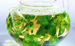 lassativi naturali senna