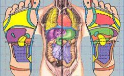 Riflessologia plantare