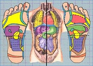 Riflessologia plantare