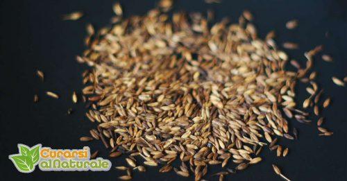 Cumino: rimedio naturale