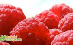 raspberry ketone