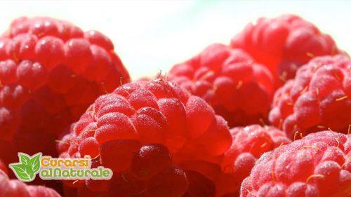 raspberry ketone