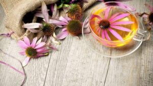 Echinacea controindicazioni
