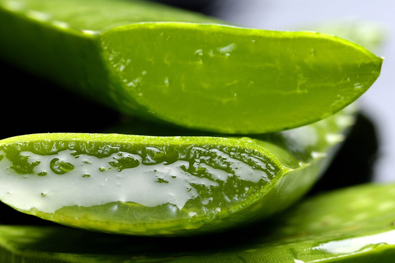 aloe vera e reflusso