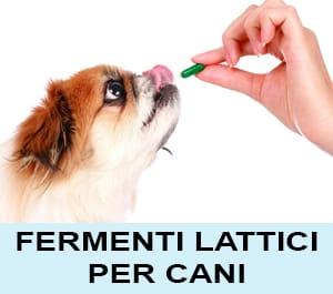 fermenti lattici per cani
