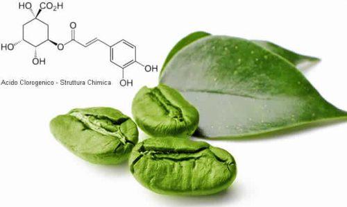 Acido clorogenico