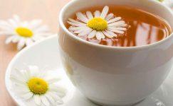 Tisana alla camomilla