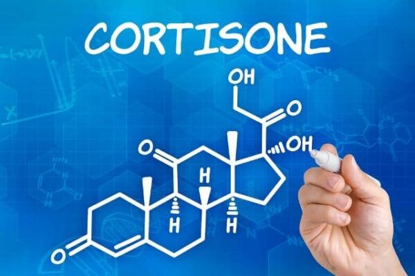 il cortisone fa ingrassare