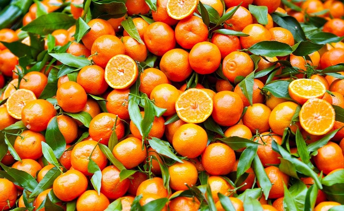 Clementine calorie, proprietà e benefici