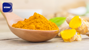 come assumere la curcuma