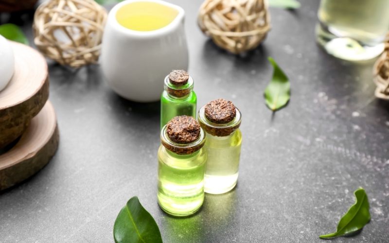 Tea Tree Oil benefici Tea Tree Oil benefici