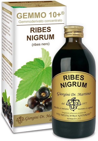 Ribes Nigrum Dr. Giorgini Ribes Nigrum Dr. Giorgini