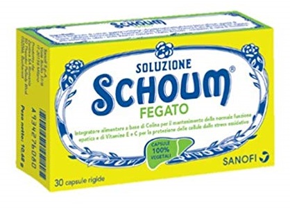 soluzone schoum