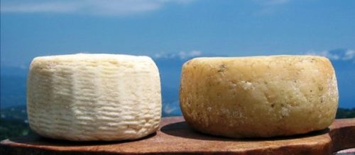 Cacioricotta