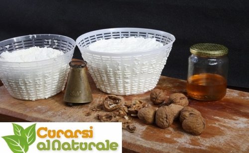 ricotta calorie