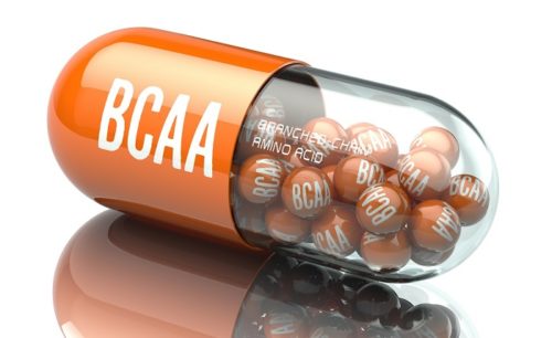 aminoacidi brucia grassi