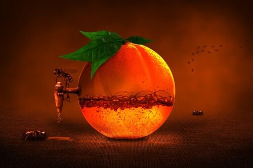 alimenti più ricchi di vitamina C