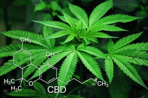Marijuana legale per calmarsi