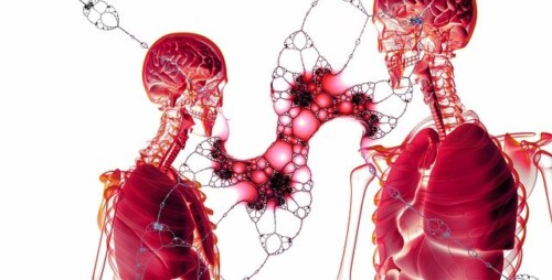 come diventano i polmoni di un fumatore