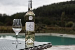 quale bevanda può bere un celiaco