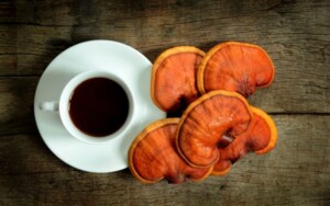 Ganoderma Lucidum