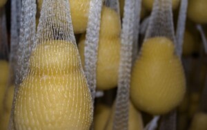 Scamorza calorie