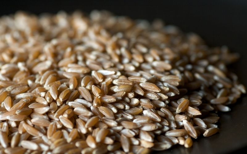 cereale farro