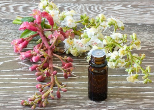 fiori di bach benefici