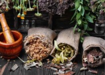 migliori erbe medicinali