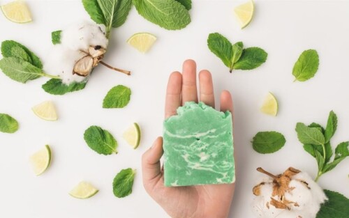 Ecco Verde prodotti