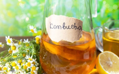 Kombucha benefici