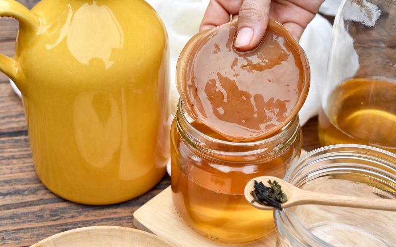 Kombucha ricette fatte in casa