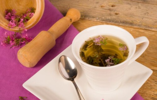 valeriana officinalis