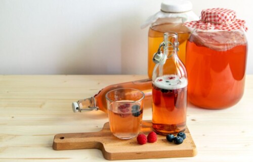 bevande fermentate quali sono