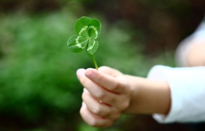 consigli per iniziare bene l'anno nuovo