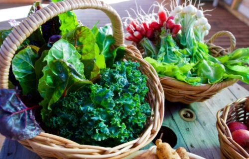 verdure a foglia verde