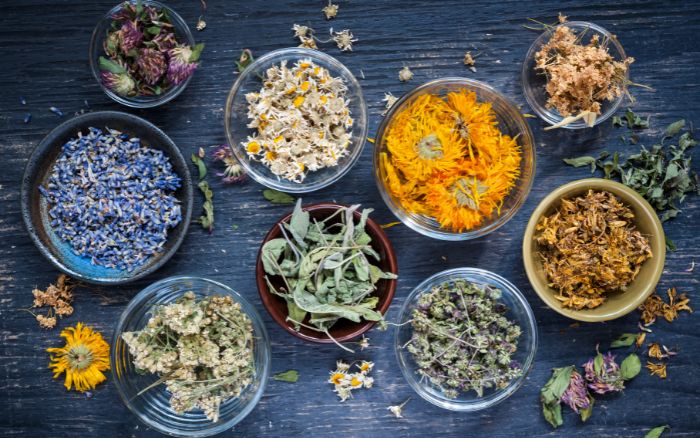 Tipi di erbe aromatiche Tipologie di piante aromatiche