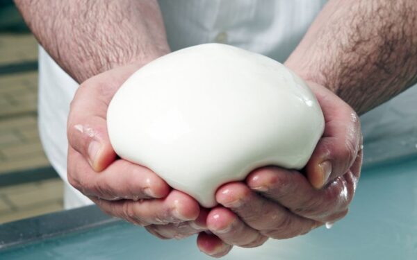 Quali formaggi e latticini possono mangiare gli intolleranti al lattosio