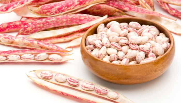 Fagioli borlotti