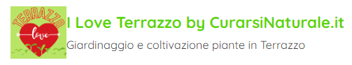 i love terrazzo