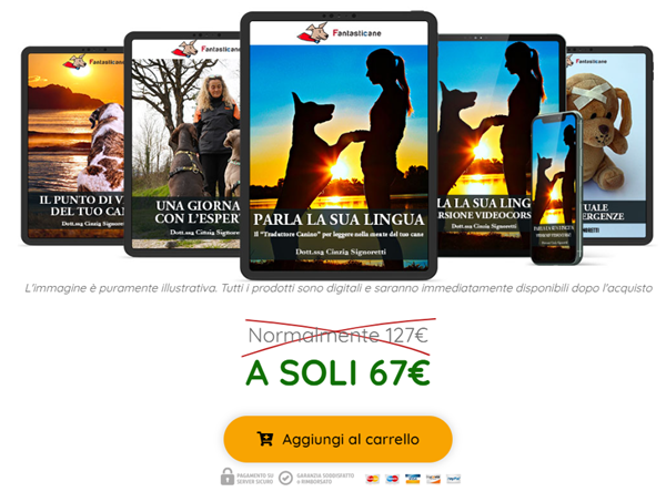 Corso Parla la sua lingua Recensioni